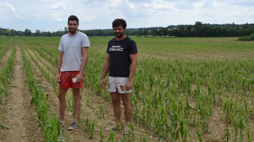 « Il faut avoir un bon mental face aux intempéries », souligne Adrien Daubas (à droite), victime de la grêle le 3 juillet, après une année très pluvieuse. Ici, avec Emmanuel Caubet, son salarié. © Florence Jacquemoud